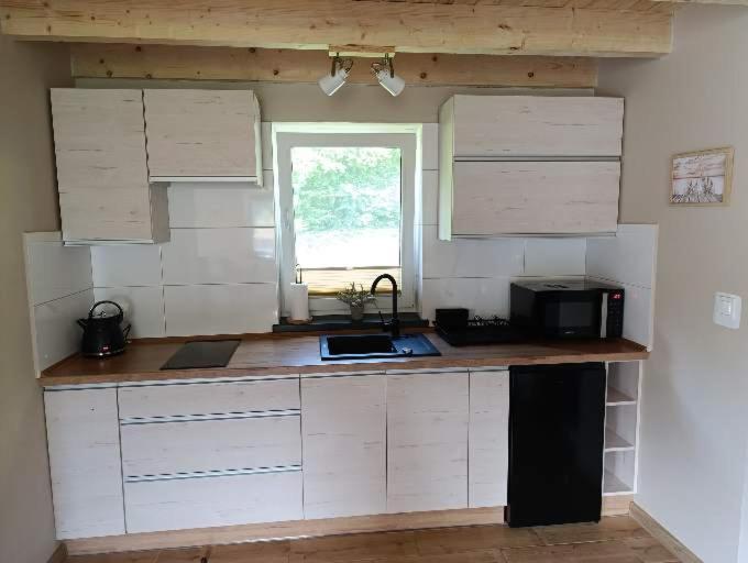 Pod Kasztanem 2 Nad Jeziorem Holiday home *